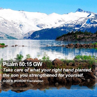 Psalm 80:15 GW Bible Verse Image
