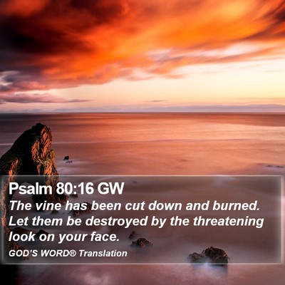 Psalm 80:16 GW Bible Verse Image