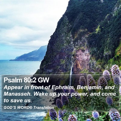 Psalm 80:2 GW Bible Verse Image