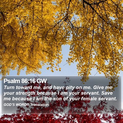 Psalm 86:16 GW Bible Verse Image