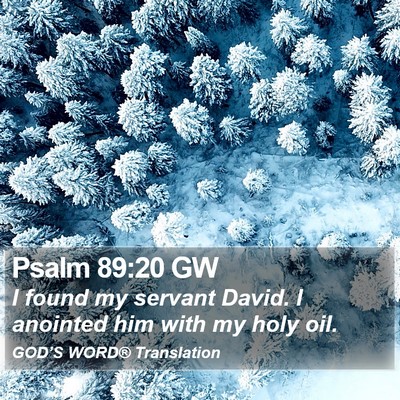 Psalm 89:20 GW Bible Verse Image