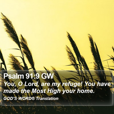 Psalm 91:9 GW Bible Verse Image