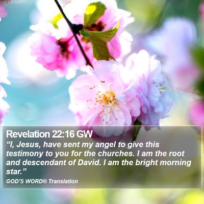 Revelation 22:16 GW Bible Verse Image