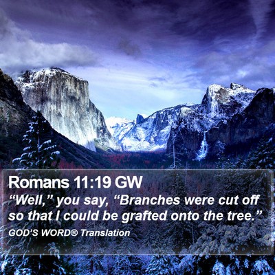 Romans 11:19 GW Bible Verse Image