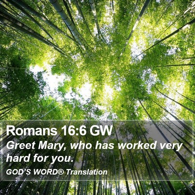Romans 16:6 GW Bible Verse Image