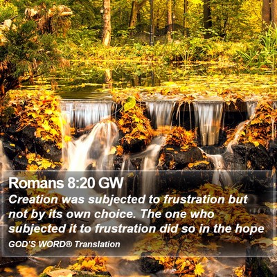 Romans 8:20 GW Bible Verse Image
