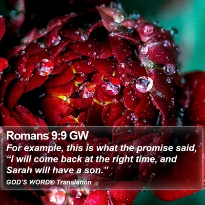Romans 9:9 GW Bible Verse Image