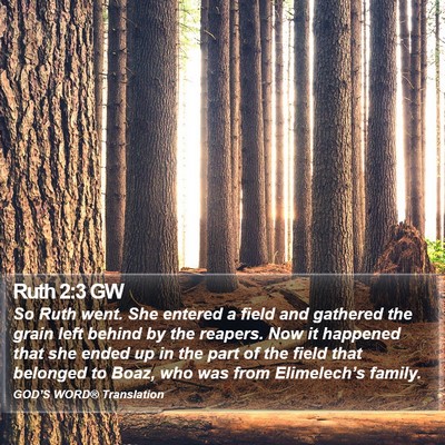Ruth 2:3 GW Bible Verse Image