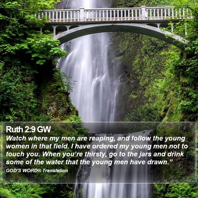 Ruth 2:9 GW Bible Verse Image