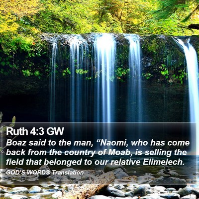 Ruth 4:3 GW Bible Verse Image
