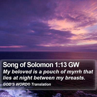 Song of Solomon 1:13 GW Bible Verse Image