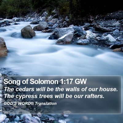 Song of Solomon 1:17 GW Bible Verse Image