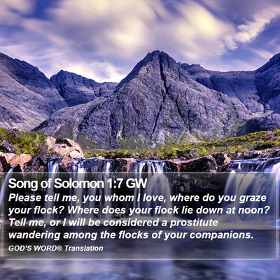 Song of Solomon 1:7 GW Bible Verse Image