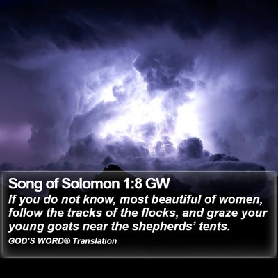 Song of Solomon 1:8 GW Bible Verse Image