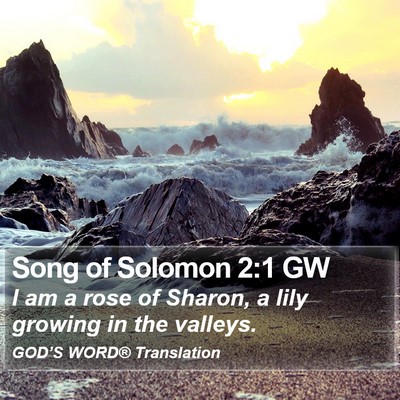 Song of Solomon 2:1 GW Bible Verse Image