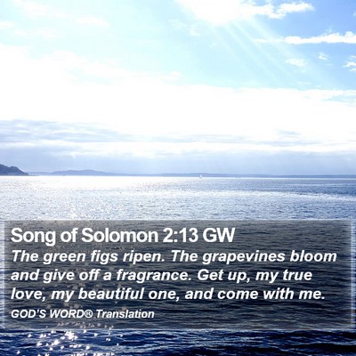 Song of Solomon 2:13 GW Bible Verse Image