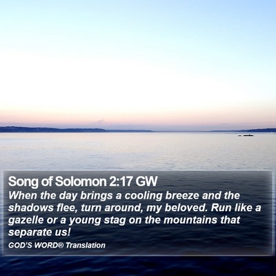 Song of Solomon 2:17 GW Bible Verse Image