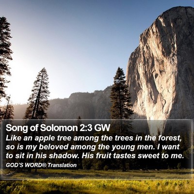 Song of Solomon 2:3 GW Bible Verse Image