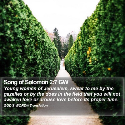 Song of Solomon 2:7 GW Bible Verse Image