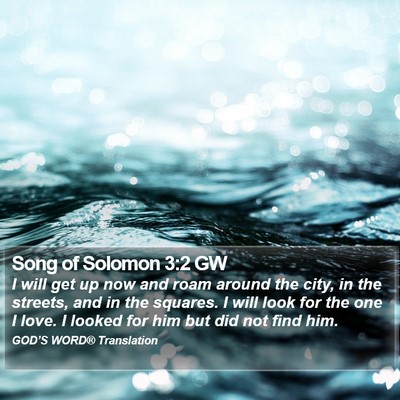Song of Solomon 3:2 GW Bible Verse Image