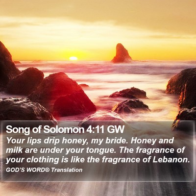 Song of Solomon 4:11 GW Bible Verse Image