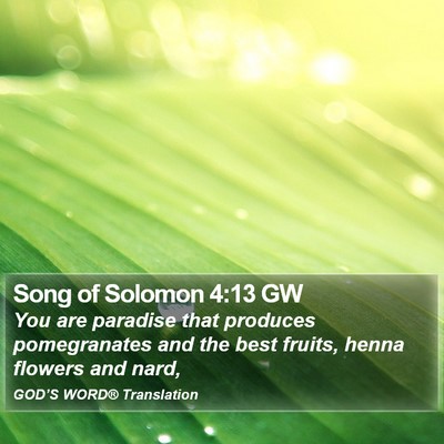 Song of Solomon 4:13 GW Bible Verse Image