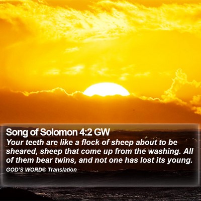 Song of Solomon 4:2 GW Bible Verse Image