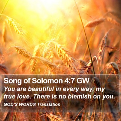 Song of Solomon 4:7 GW Bible Verse Image