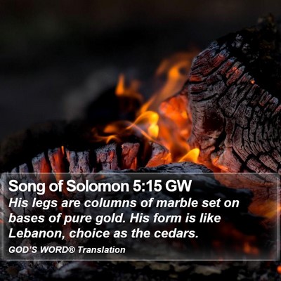 Song of Solomon 5:15 GW Bible Verse Image