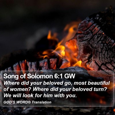 Song of Solomon 6:1 GW Bible Verse Image