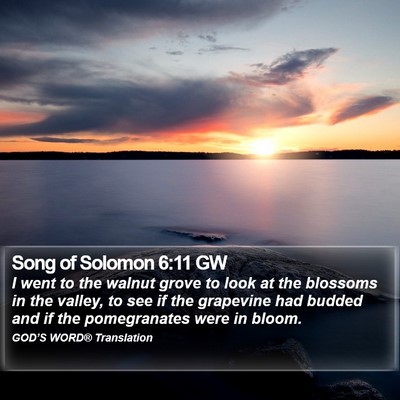 Song of Solomon 6:11 GW Bible Verse Image