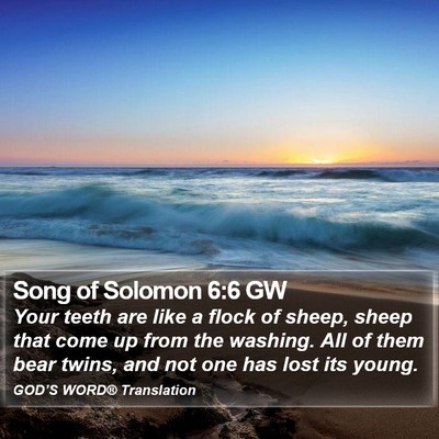 Song of Solomon 6:6 GW Bible Verse Image