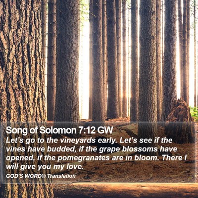 Song of Solomon 7:12 GW Bible Verse Image