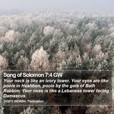 Song of Solomon 7:4 GW Bible Verse Image