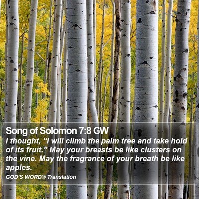 Song of Solomon 7:8 GW Bible Verse Image