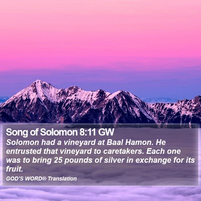 Song of Solomon 8:11 GW Bible Verse Image