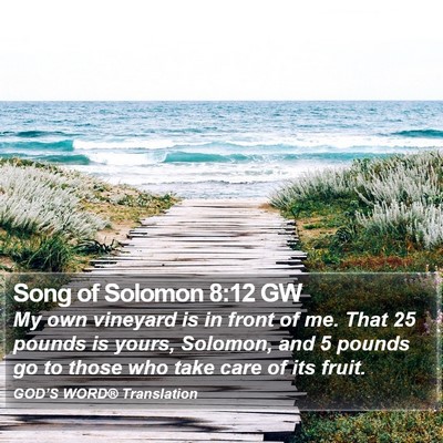 Song of Solomon 8:12 GW Bible Verse Image