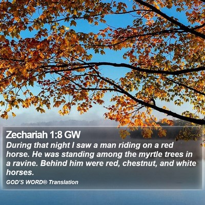 Zechariah 1:8 GW Bible Verse Image