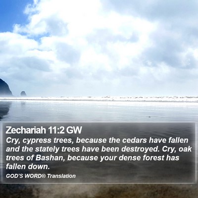 Zechariah 11:2 GW Bible Verse Image