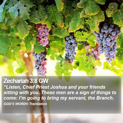 Zechariah 3:8 GW Bible Verse Image