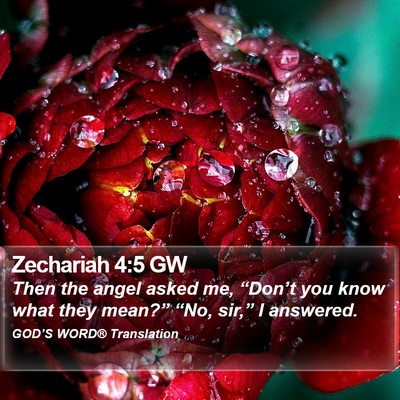 Zechariah 4:5 GW Bible Verse Image