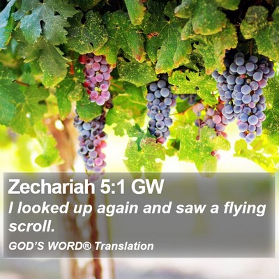 Zechariah 5:1 GW Bible Verse Image