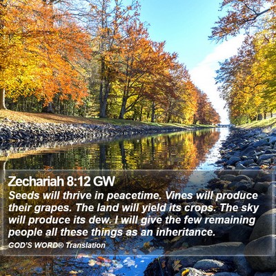 Zechariah 8:12 GW Bible Verse Image