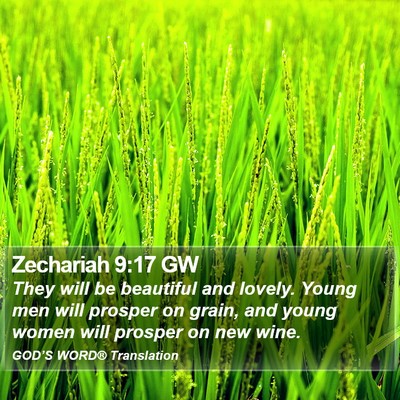 Zechariah 9:17 GW Bible Verse Image