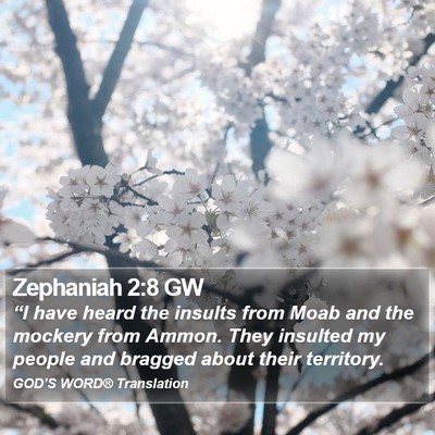 Zephaniah 2:8 GW Bible Verse Image