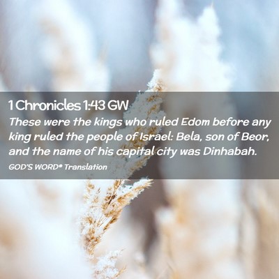 Picture 02 - 1 Chronicles 1:43 GW - These were the kings who ruled Edom before any - Bible Verse Picture