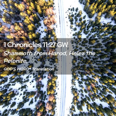 Picture 02 - 1 Chronicles 11:27 GW - Shammoth from Harod, Helez the - Bible Verse Picture