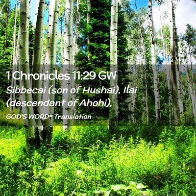 Picture 02 - 1 Chronicles 11:29 GW - Sibbecai (son of Hushai), Ilai (descendant of - Bible Verse Picture