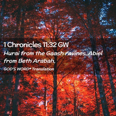 Picture 02 - 1 Chronicles 11:32 GW - Hurai from the Gaash ravines, Abiel from Beth - Bible Verse Picture