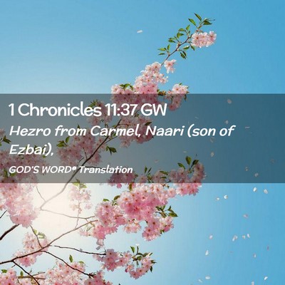 Picture 02 - 1 Chronicles 11:37 GW - Hezro from Carmel, Naari (son of - Bible Verse Picture